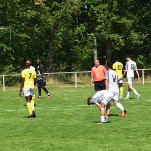 KamerunDarmstadt-Weiterstadt (53).JPG
